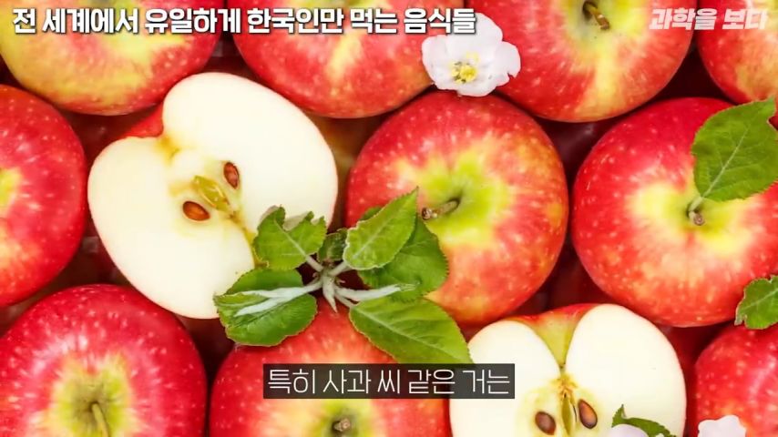사과씨 180개를 한번에 먹으면