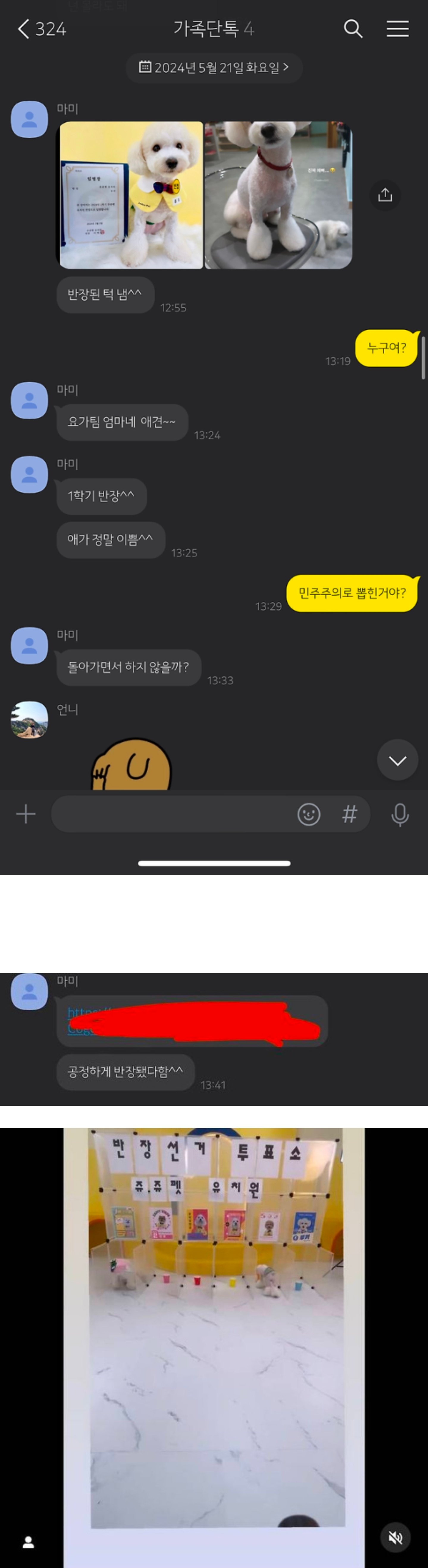 모르는 개가 반장됐다고 톡옴...