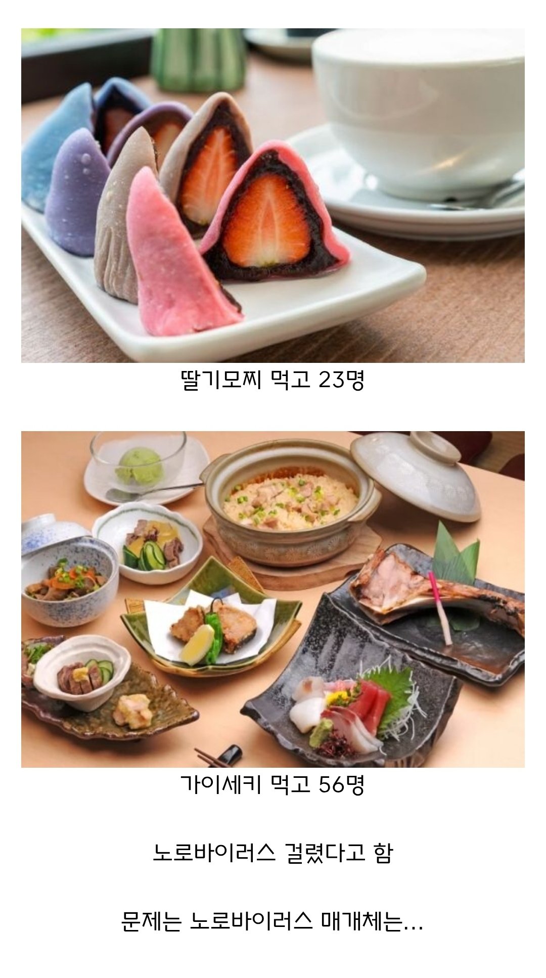 노로 바이러스 때문에 난리난 일본