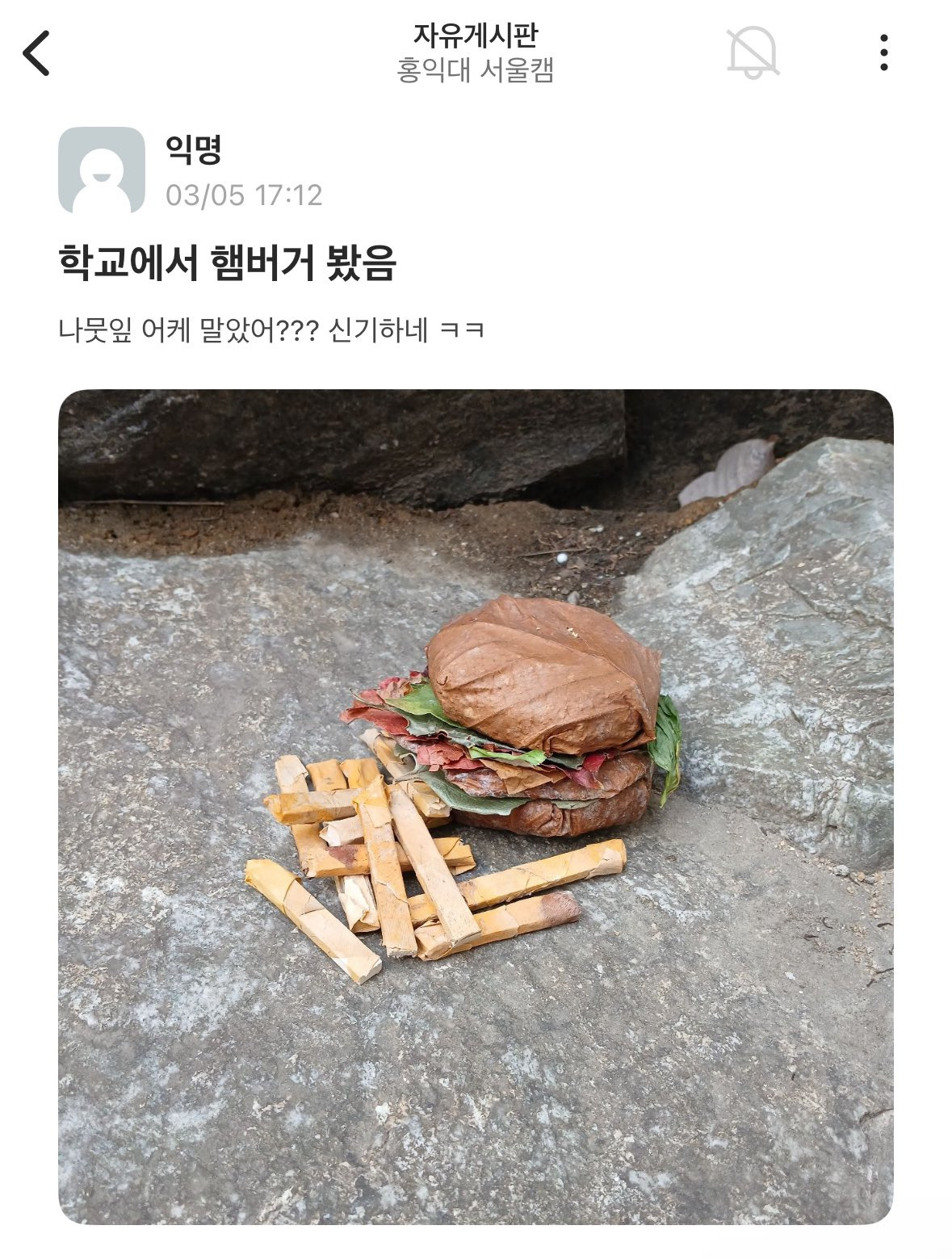 홍대 에타에 올라온 햄버거.jpg