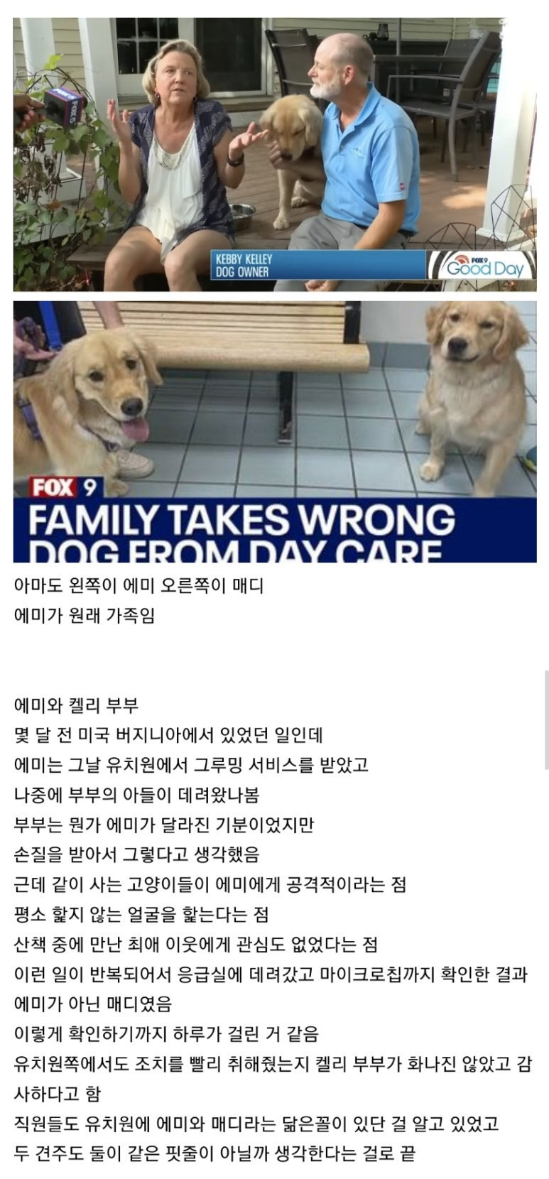유치원에서 뒤바뀐 멍뭉이들