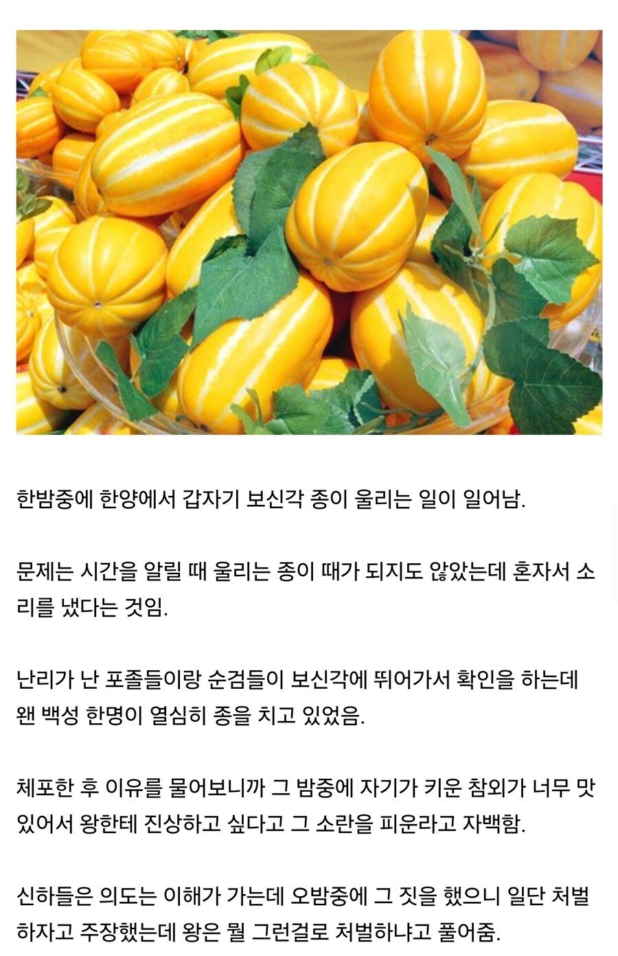 한양 참외 당도최고!.JPG