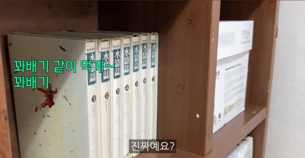 다이어트 사주보러 철학관에 간 고도비만 유튜버ㅋㅋㅋㅋ