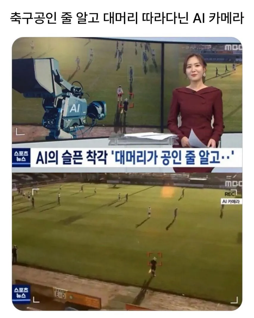 축구공인 줄 알고 대머리 따라다닌 AI 카메라.jpg