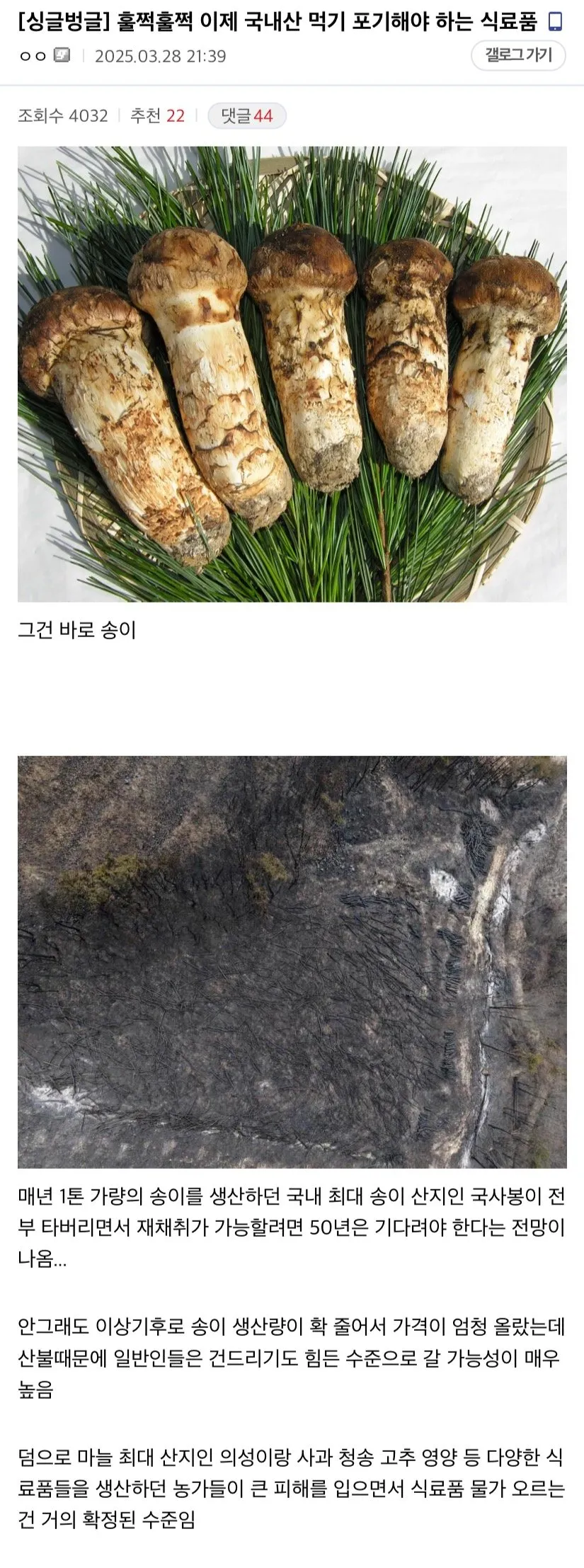 이제 국내산 먹기 포기해야 하는 식료품