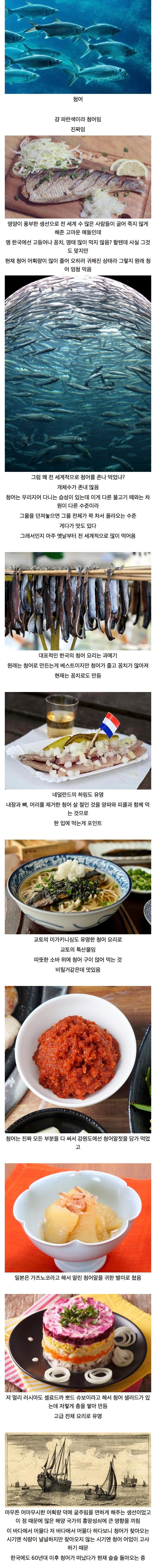전 세계 수 많은 사람들을 구해낸 물고기