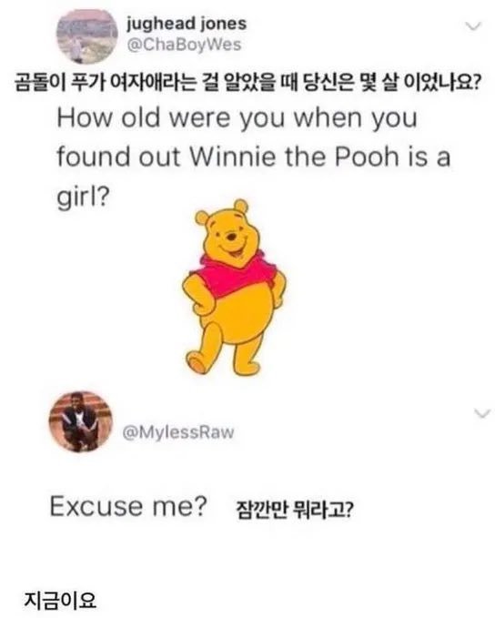 곰돌이 푸가 여자애라는걸 알았을 때 당신은 몇살이었나요?