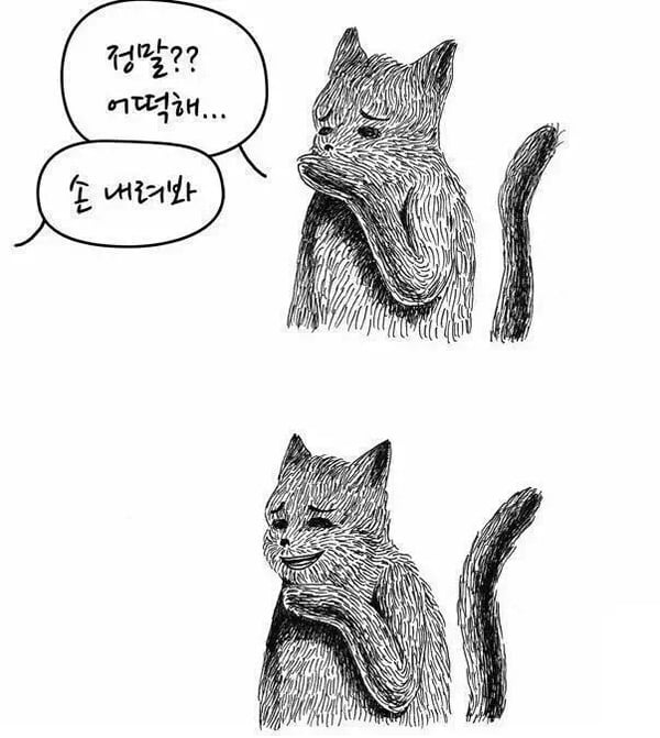 집에 오니 아무도 없고 우울하다 정말
