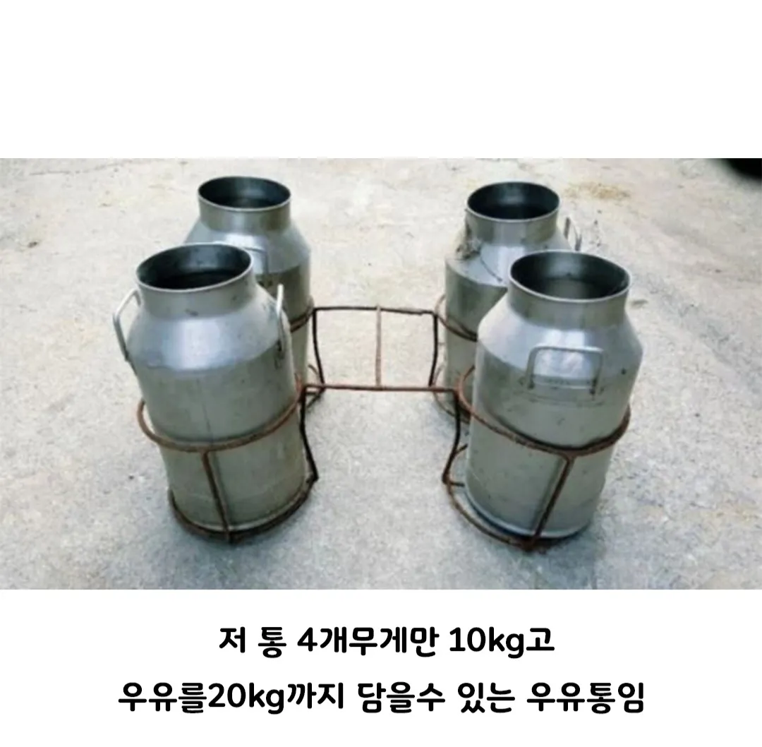 혀 나올만큼 힘든일시킴ㅠ
