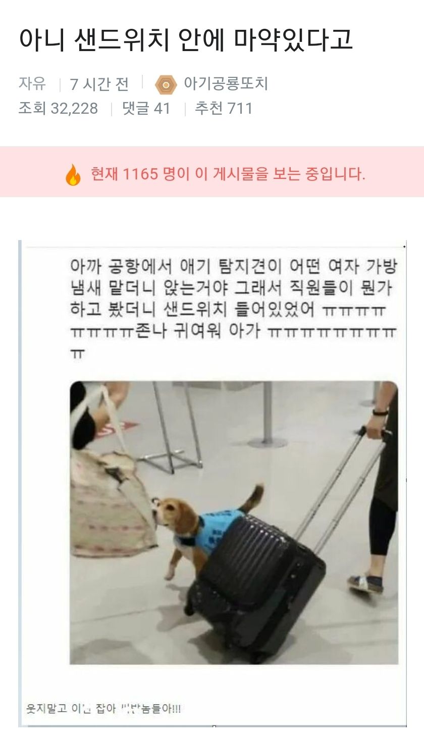 아니 샌드위치안에 마약있다고!