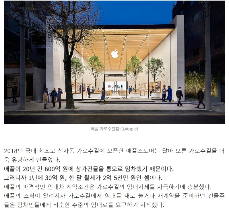 가로수길의 임대료를 우주까지 끌어올린 기업 .jpg