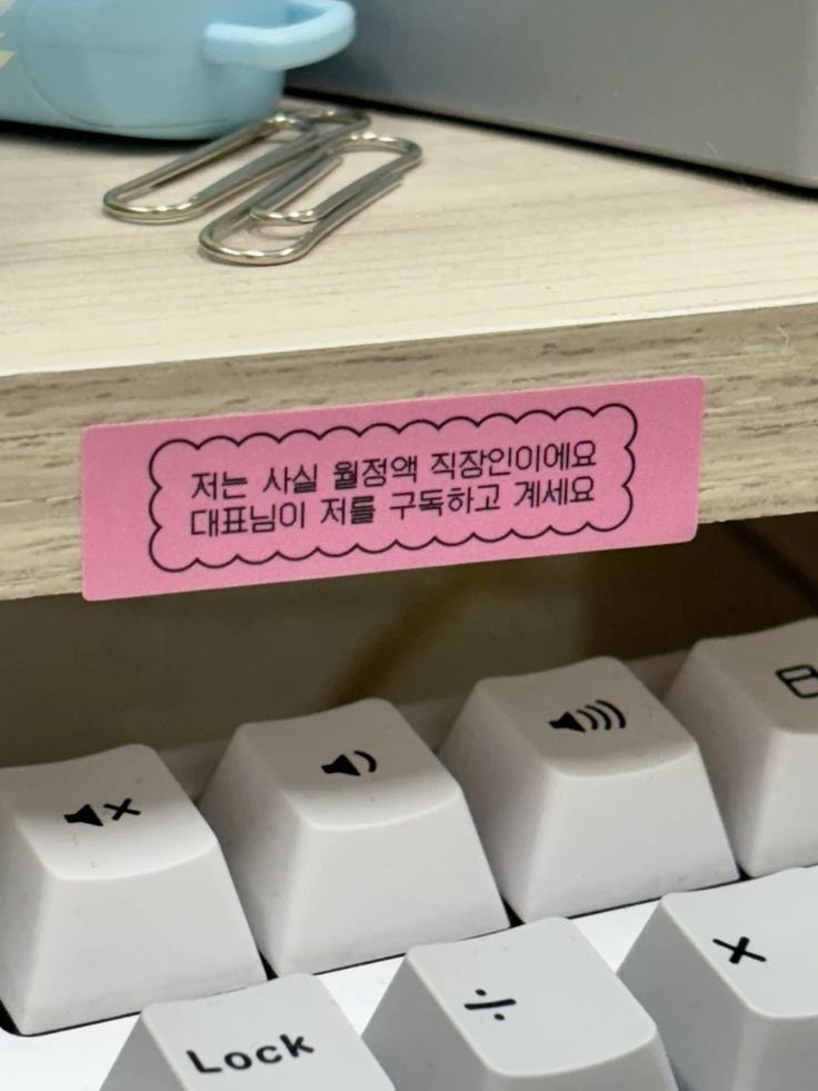저는 사실 월정액 직장인이에요