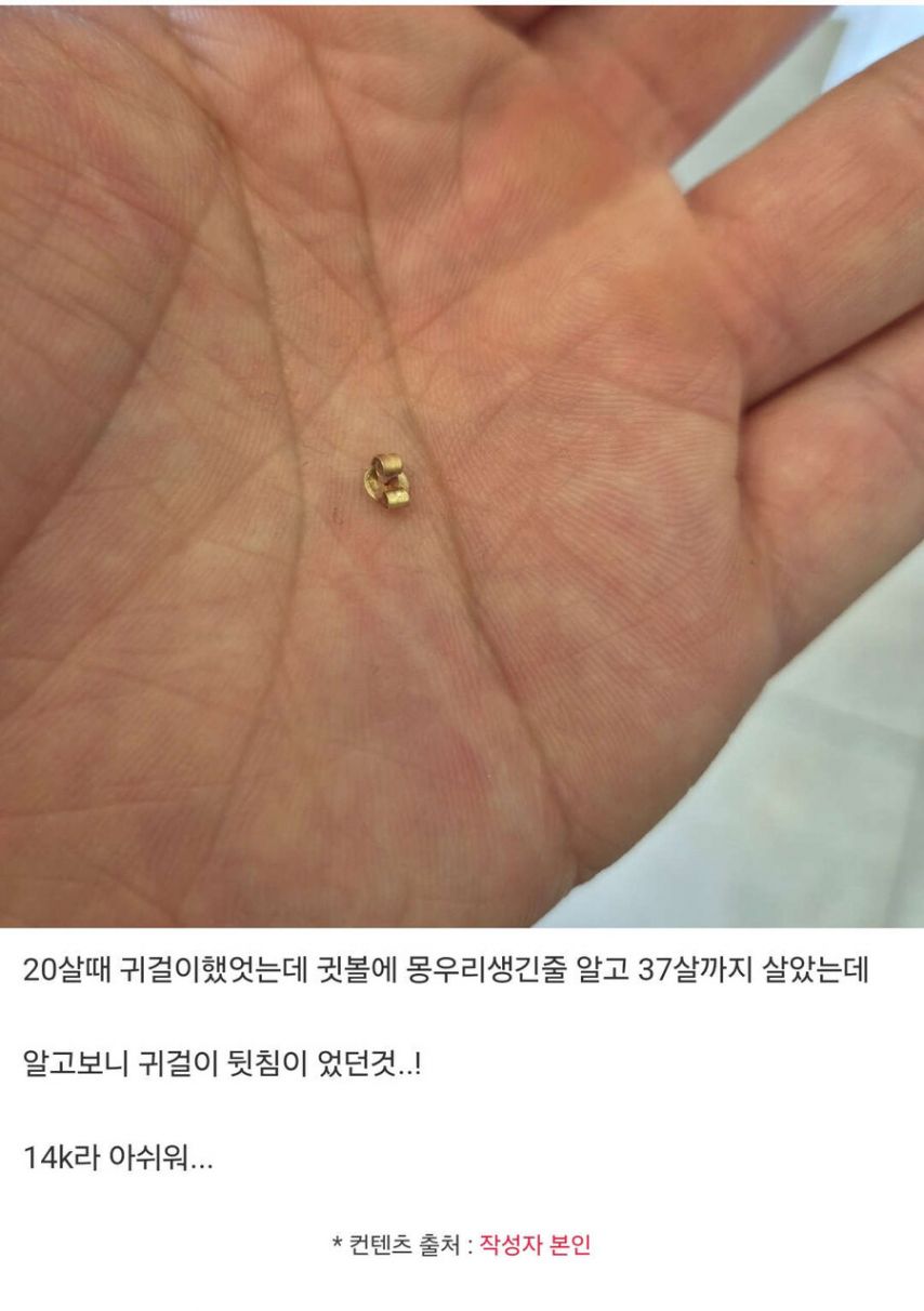 귀금속을 발견한 웃대인