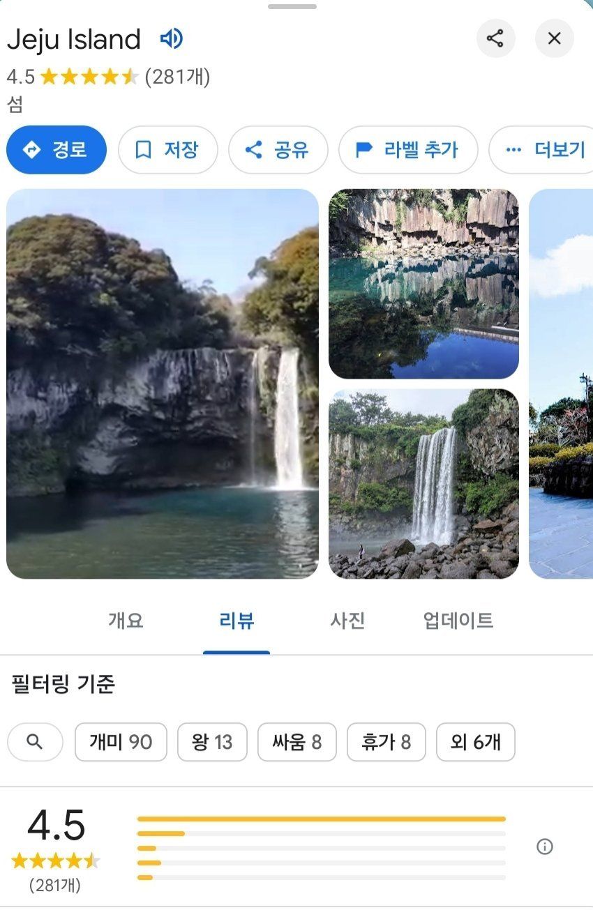 요즘 제주도 리뷰 근황