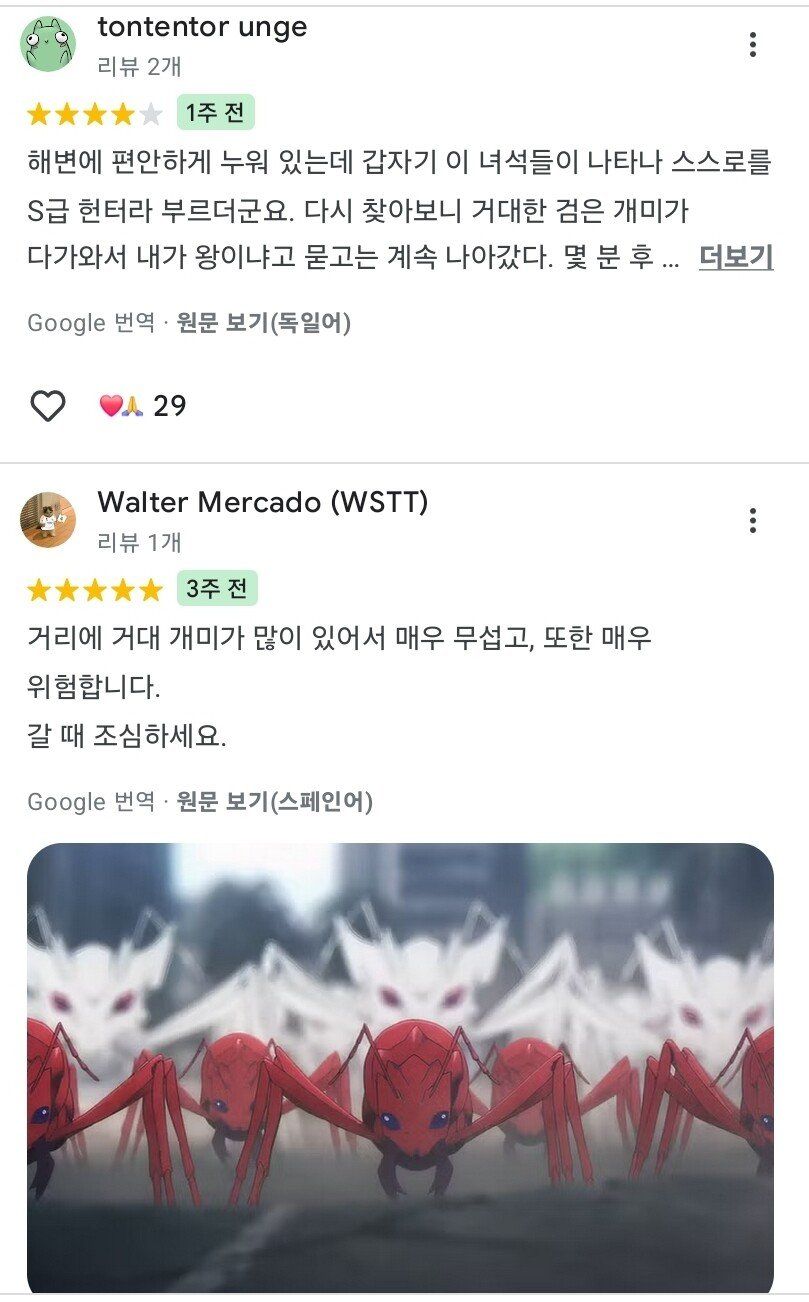 요즘 제주도 리뷰 근황