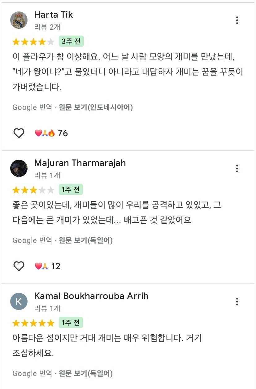 요즘 제주도 리뷰 근황