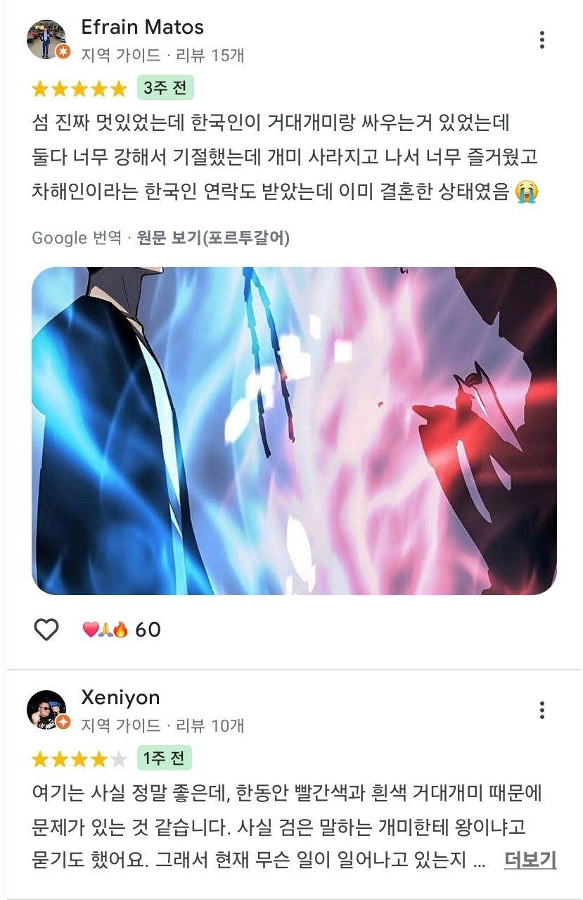 요즘 제주도 리뷰 근황