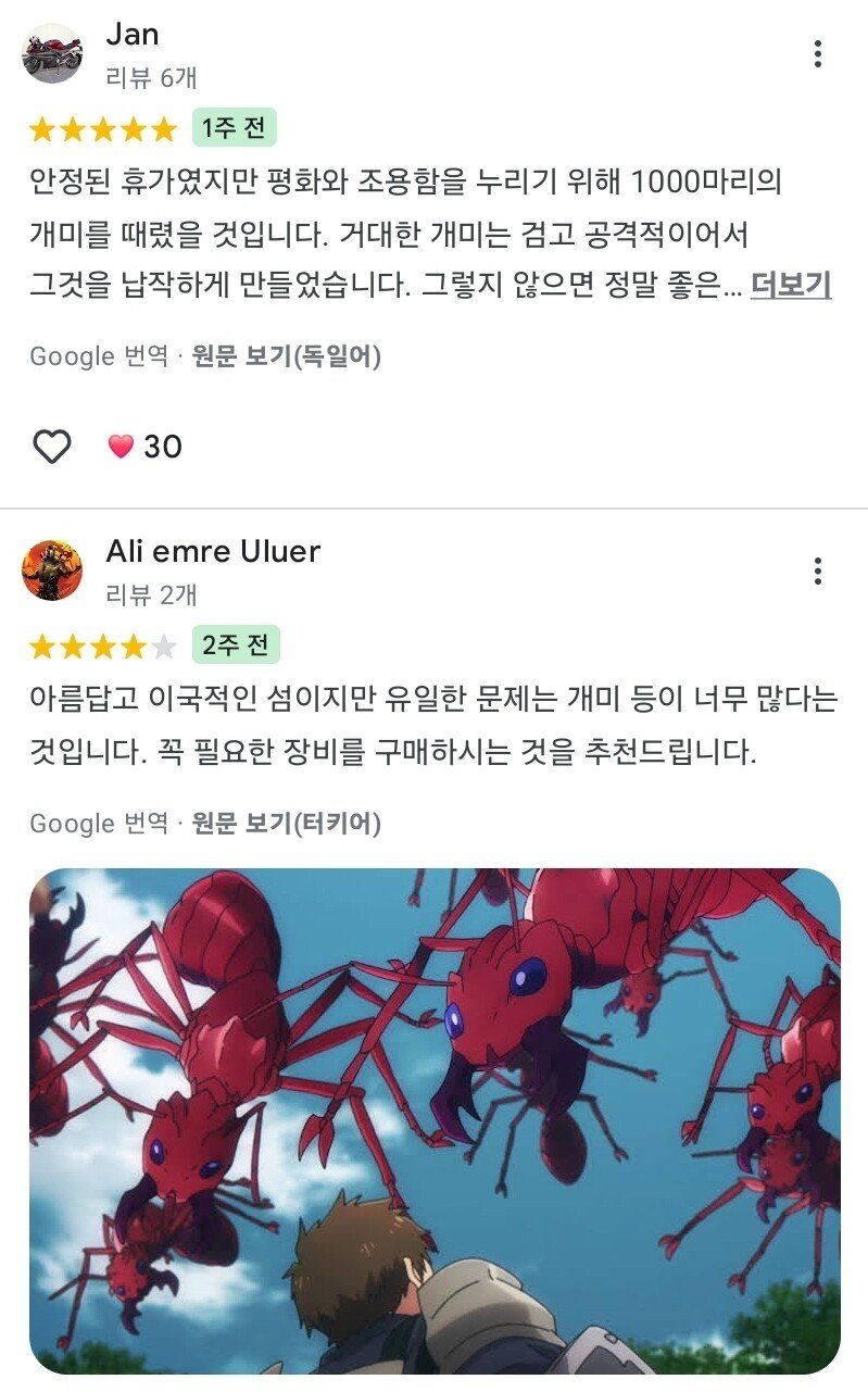 요즘 제주도 리뷰 근황