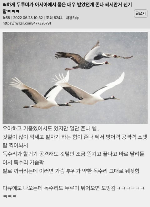 두루미가 아시아에서 좋은 대우 받았던게 존나 쎄서란거 신기함ㅋㅋㅋ