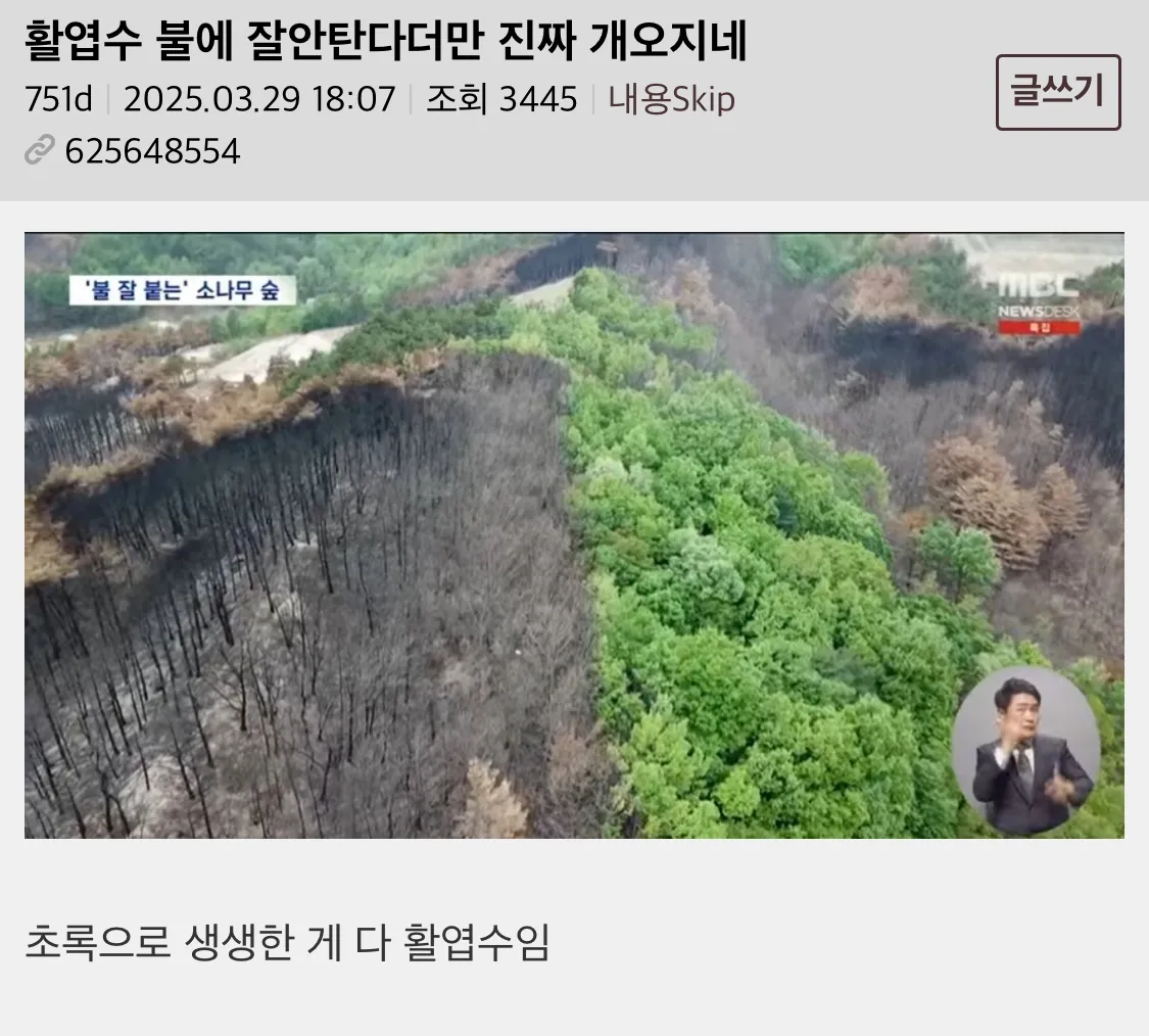 활엽수 불에 잘안탄다더만 진짜 개오지네