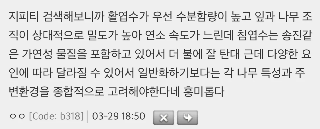 활엽수 불에 잘안탄다더만 진짜 개오지네