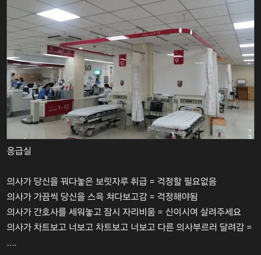 				의사가 무시하면 오히려 감사해야 하는 장소