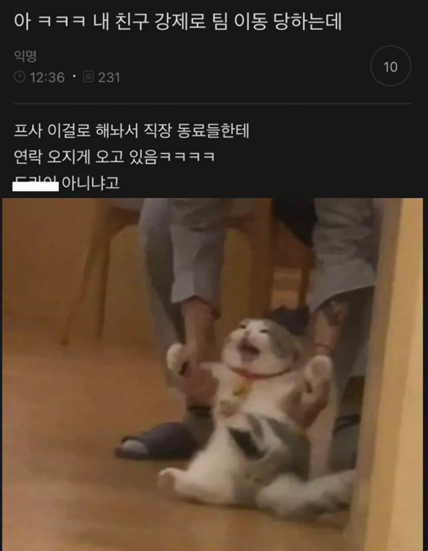 강제로 팀이 바뀐 직원의 프사.jpg