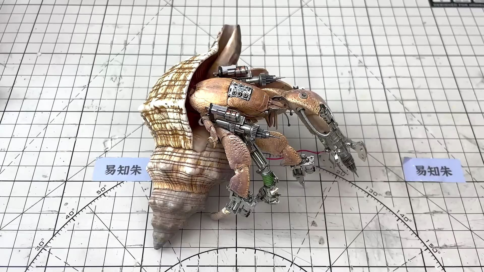 랍스터, 게요리 먹고 만든 초고퀄 로보트