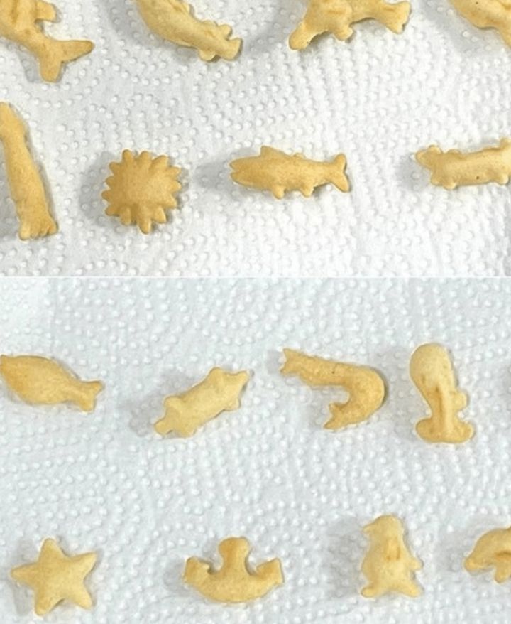 고래밥에 색칠하기.jpg