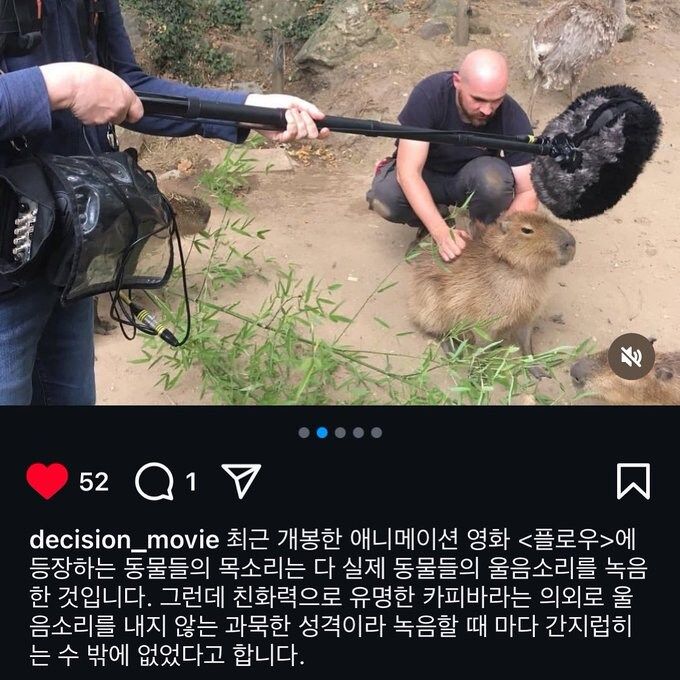 영화 촬영 때문에 동물학대한 제작진 ㄷㄷㄷ