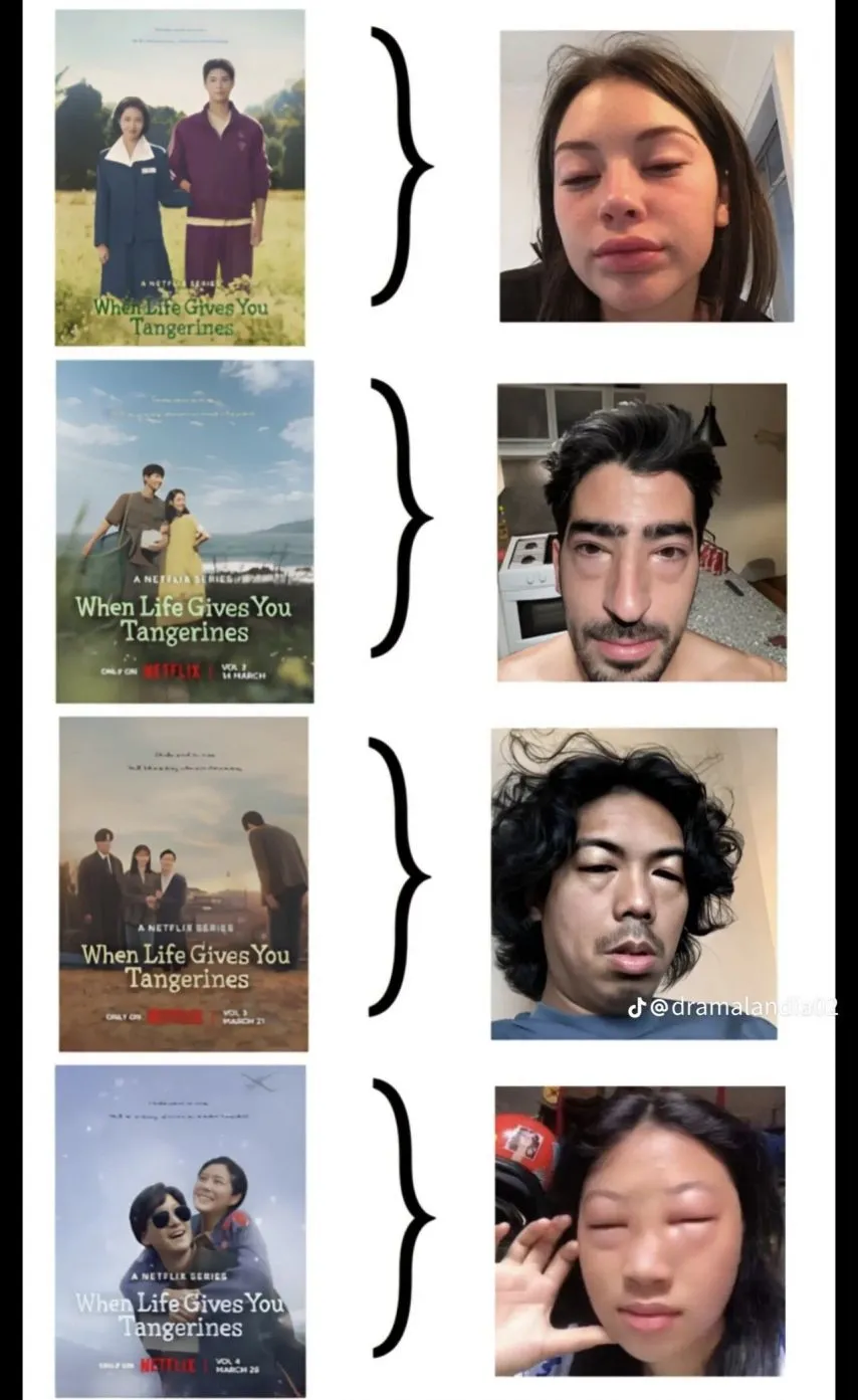 폭싹 속았수다 해외에서 돌고있는 짤.jpg