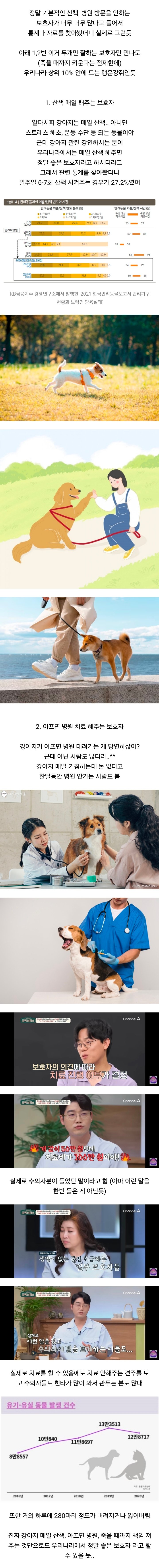 우리나라 매일 강아지 산책 시켜주는 보호자는 상위 30%