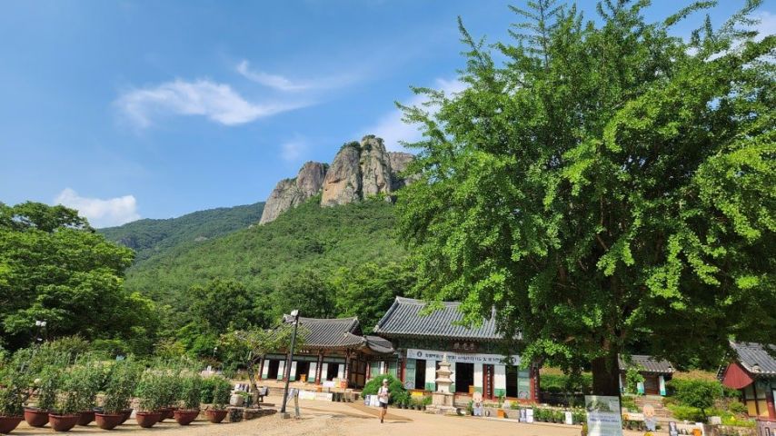 참담한 의성-안동 산불 문화유산 소실 근황