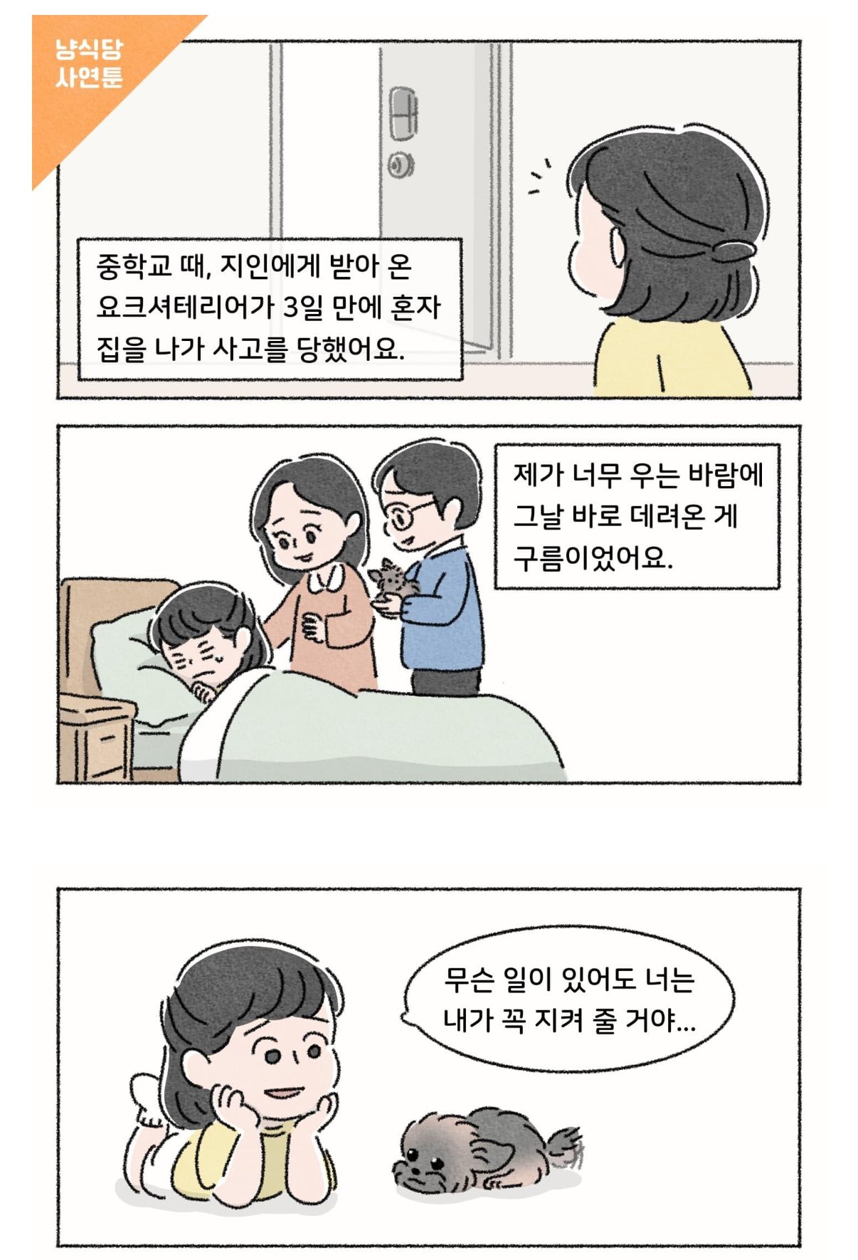 작가가 욕이나 박고 가라고한 사연툰