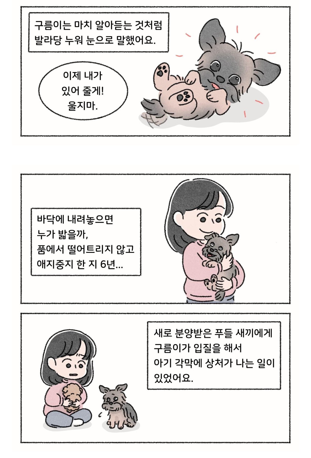 작가가 욕이나 박고 가라고한 사연툰