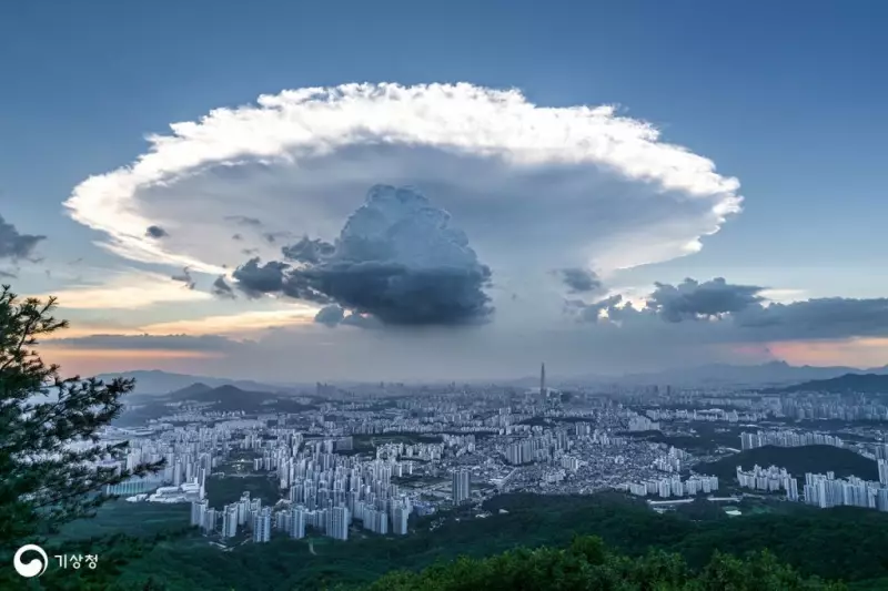 2025 기상기후 사진·영상 공모전 수상작.jpg