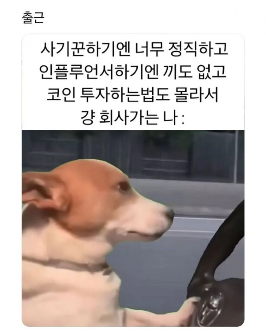 대다수 직장인 특징