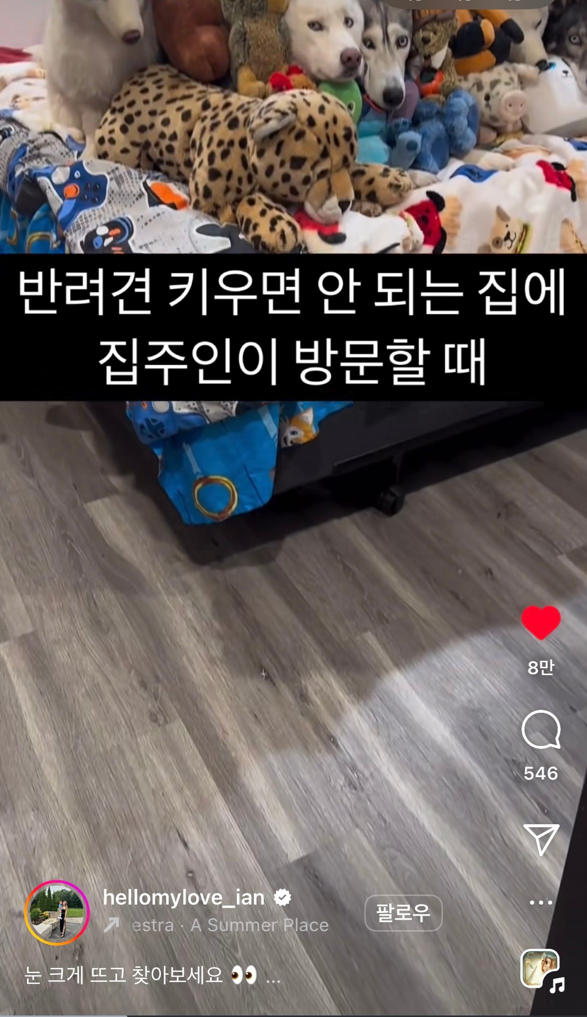 반려견 키우면 안 되는 집에 집주인이 방문할 때