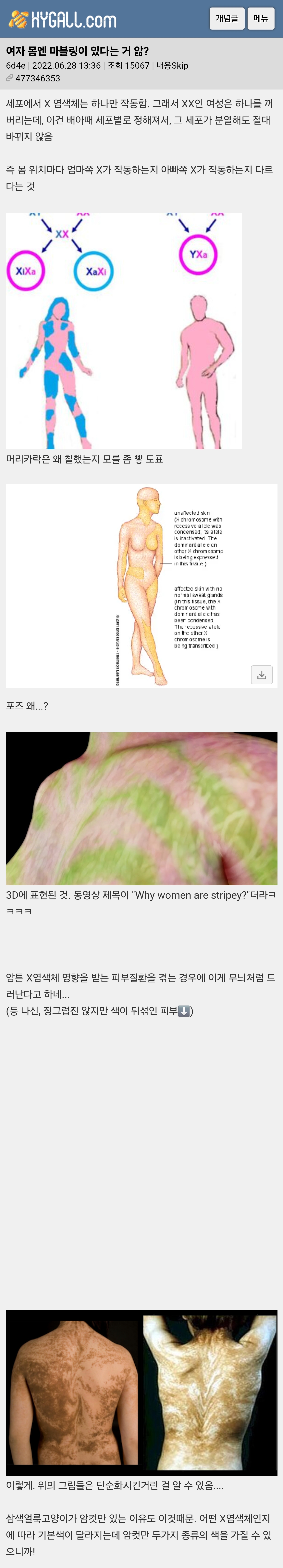 여자 몸엔 마블링이 있다는 거 앎?
