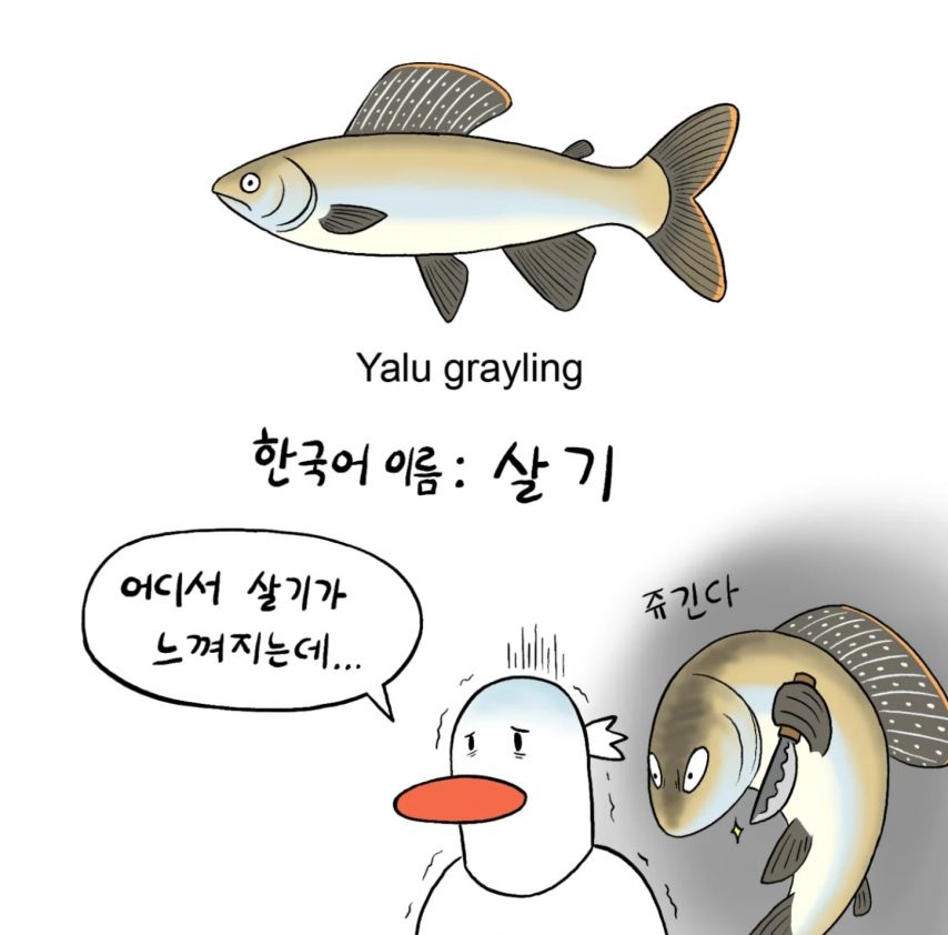 민물고기의 이름들