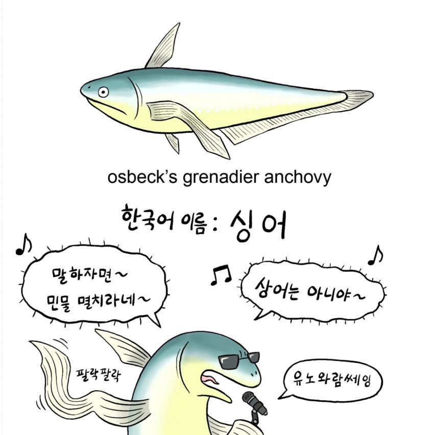민물고기의 이름들