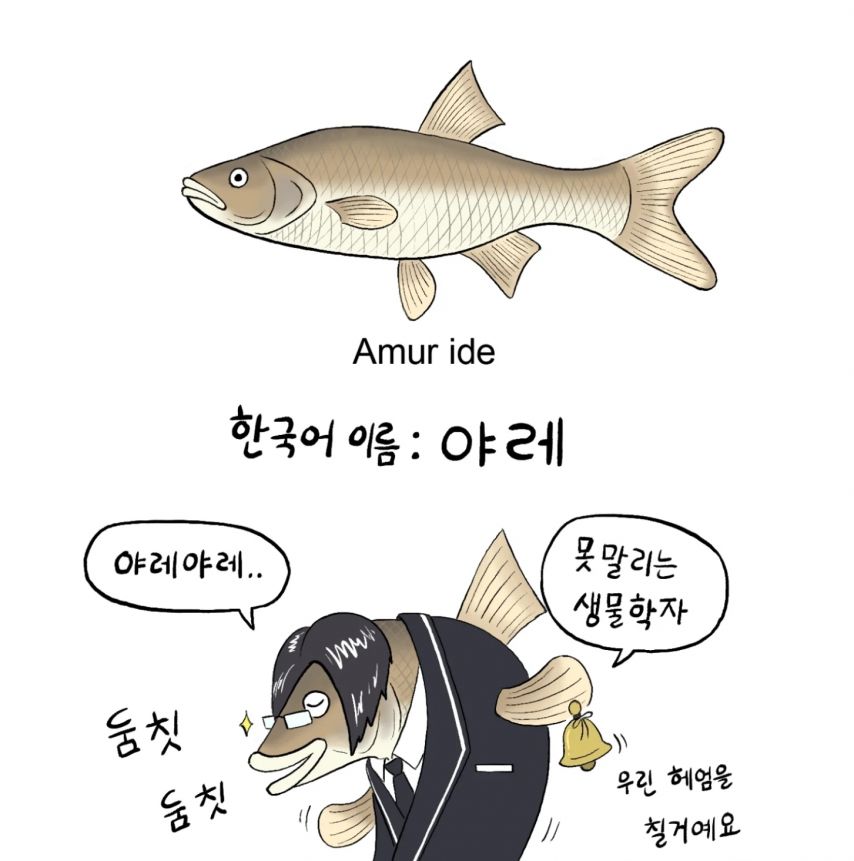 민물고기의 이름들