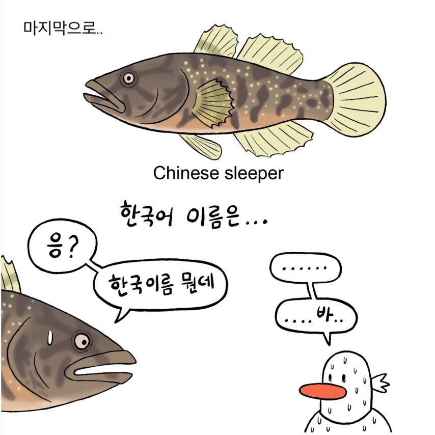 민물고기의 이름들