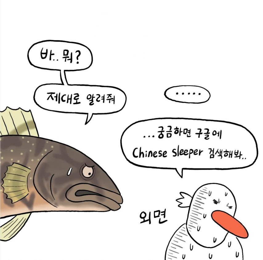 민물고기의 이름들