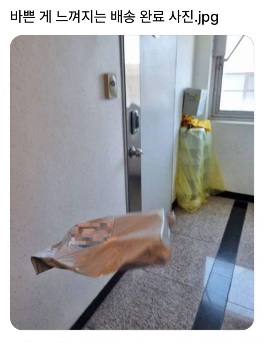 바쁜 게 느껴지는 배송 완료 사진