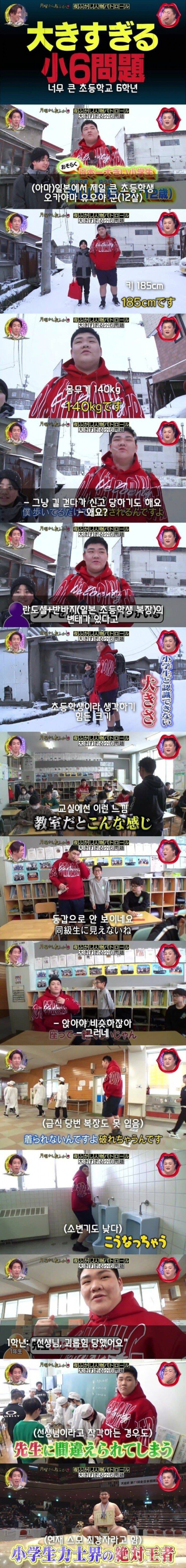 일본에서 제일 크다는 12살