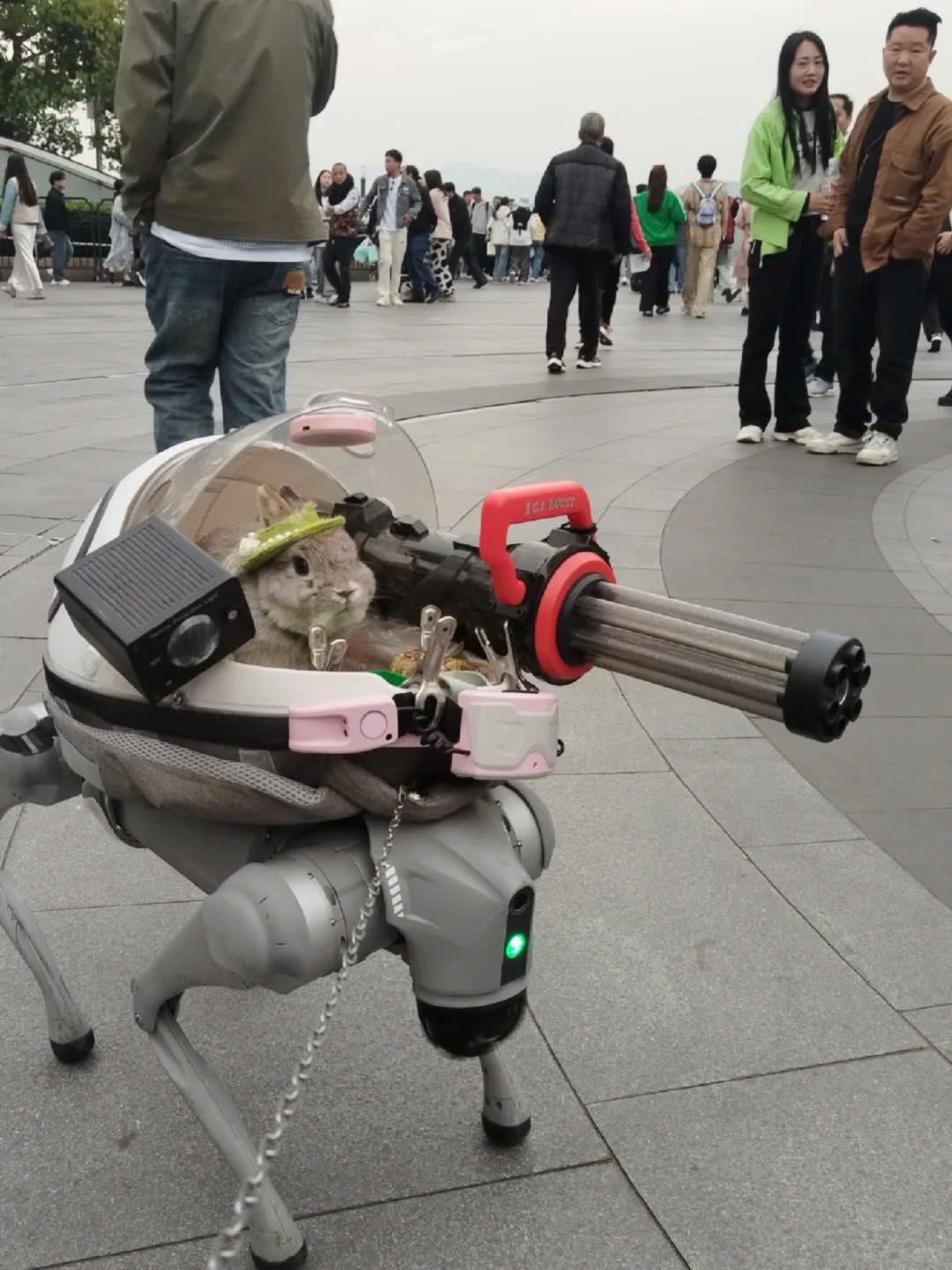 디바 현실버전