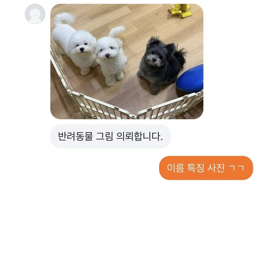 반려동물 그림 그려드립니다