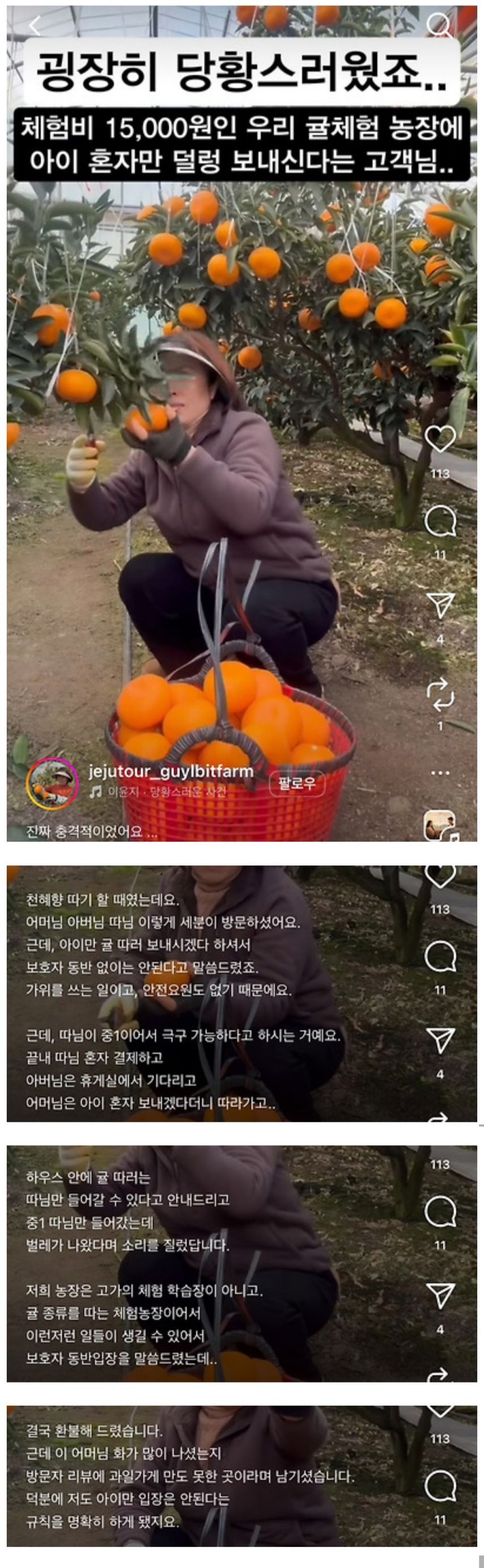 귤체험 농장에 아이 혼자 보내겠다는 부모.jpg