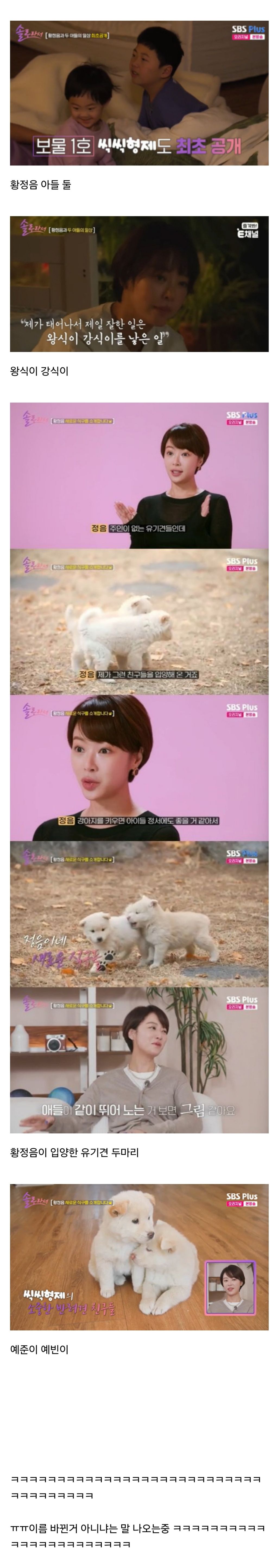 황정음 아들 둘, 강아지 둘 이름.jpg